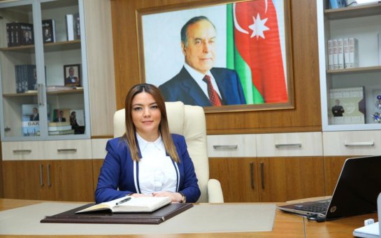 QHT Agentliyinin icraçı direktorunun səs yazısı: “Bizi yoxlasalar, yarım milyon taparlar…”