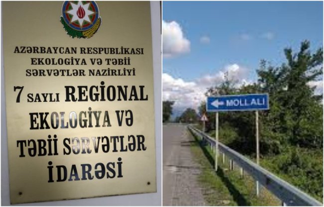 ETSN 7 saylı Ekologiya İdarəsi 17 minə yaxın tingi məhv edəni 6 min manat cərimələdi – Biabırçılıq…