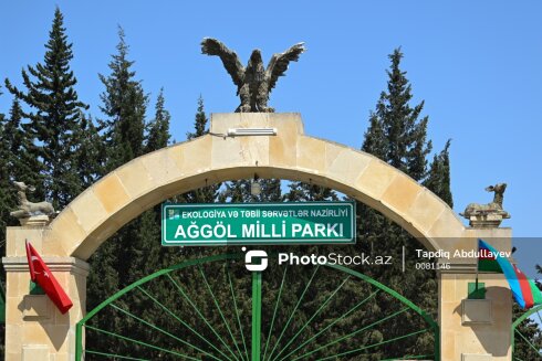 Rəşad İsmayılov Ağgöl Milli parkında qanunsuz balıq ovunun qarşısını ala biləcək?