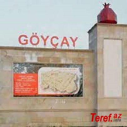 Göyçayda sələmçi qadın qoçuluq edir?- İDDİA/VİDEO
