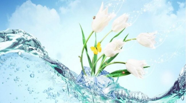 Bu gün Novruzun ilk – Su çərşənbəsidir