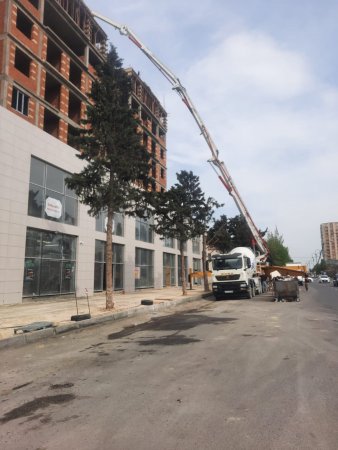 Xırdalanda xaçmazlı Zaur “at oynadır”: “Pulumu verib işimi görürəm”/FOTOLAR