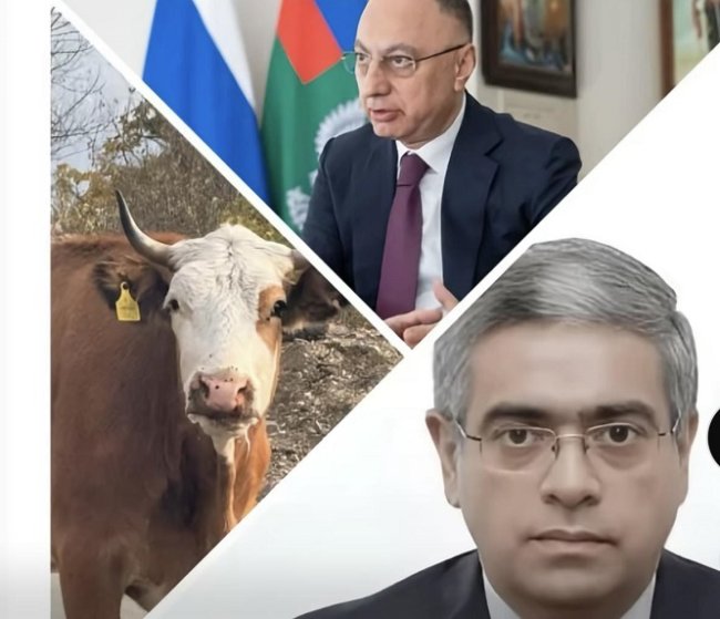 AQTA İŞBAZLIĞI VƏ KƏND TƏSƏRRÜFATI NAZİRLİYİNİN SUSQUNLUĞU…