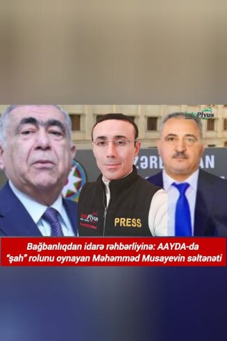 Musayevin idarəsində sanki dövlət prinsipi deyil, “şah sarayının qaydaları” işləyir