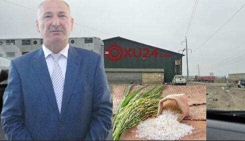 İcra başçısının balıqları tələf oldu,düyü biznesinə keçdi — ŞOK FAKTLAR/VİDEO