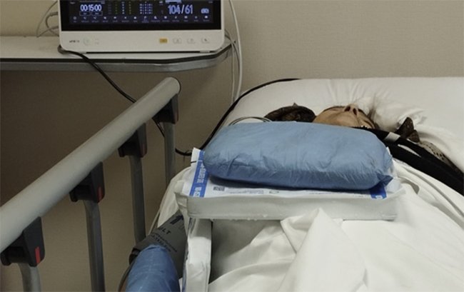 “Ayın 4-ü evə buraxıldı, 5-i öldü” - Həkimləri ittiham edirlər