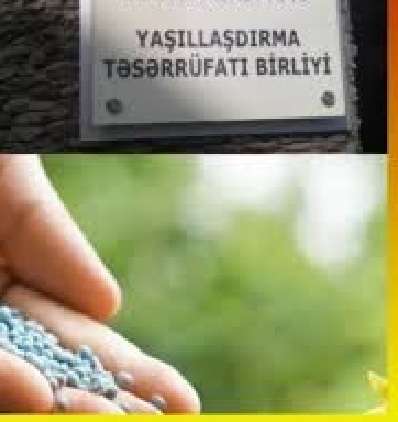 Maliyyə Nazirliyi bu qurumda milyonlarla yeyinti faktını üzə çıxardı, amma... - ŞOK İDDİA