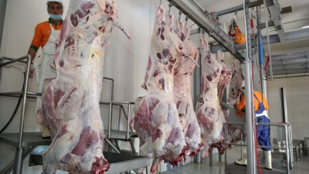 Bazarda yeni böhran – “Monqol əti”nə görə vəziyyət dəyişdi, qiymətlər…