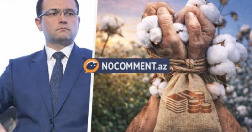 Pambıqçılıqda böhran: Fermer niyə “qul əməyinə” məhkum edilir? - DE-FAKTO
