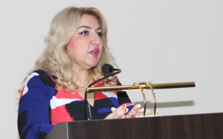 "Çarpayı az, xəstə sayı çox idi" - 7 körpənin öldüyü Perinatal Mərkəzin sabiq direktoru