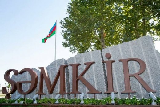 Şəmkirdə dövlətin ayırdığı dərmanlara KİM ƏL QOYUR?